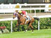 t2.jpg (88450 �Ӧ줸��)