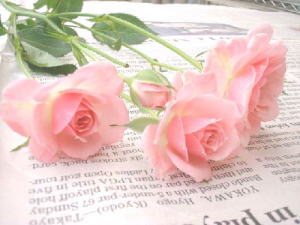 ڥHûRRAA]ڥHORlާAC