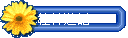 ۪LCO