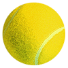 yell_ball.gif (7279 bytes)