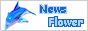 NewsFlower