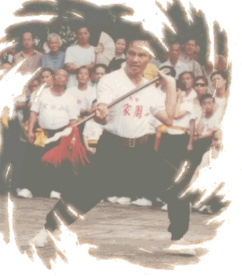 ^v^  Lv  ^v^