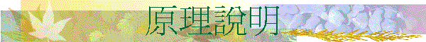 ��z����