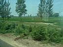 Beijing019.JPG