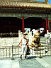 Beijing121.JPG