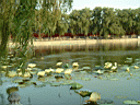 Beijing161.JPG