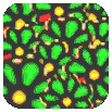 ICQ#21868473