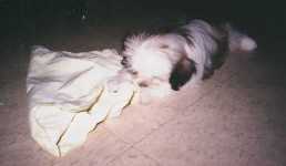 �Ѣ��������t�~�@�˶ݦn~�N�Y�r������~����~
