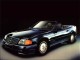 Thumbs/tn_car5.jpg