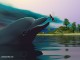 Thumbs/tn_encounter800.jpg