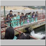 wtw09.jpg