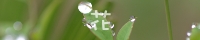 CӳۤvyA<br>@ǥiuNۧA<br>ʮAiOKK