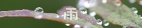 ڱqSBaӡA<br>Өoӥ@ɡAڨ<br>AoO@ӡKK