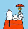 umbrella.jpg (11100 Ӧ줸)