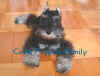 chrispin001.jpg (33917 �Ӧ줸��)