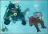 dive dog2.jpg (20754 �Ӧ줸��)