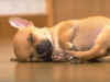 sleepy.jpg (11897 �Ӧ줸��)