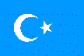 Flag of Eastern Turkistan