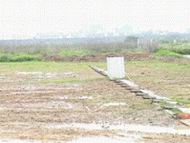 DSC00443.JPG