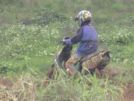DSC00535.JPG