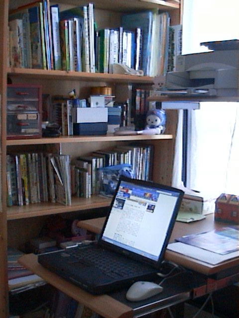 computer.JPG (55314 bytes)