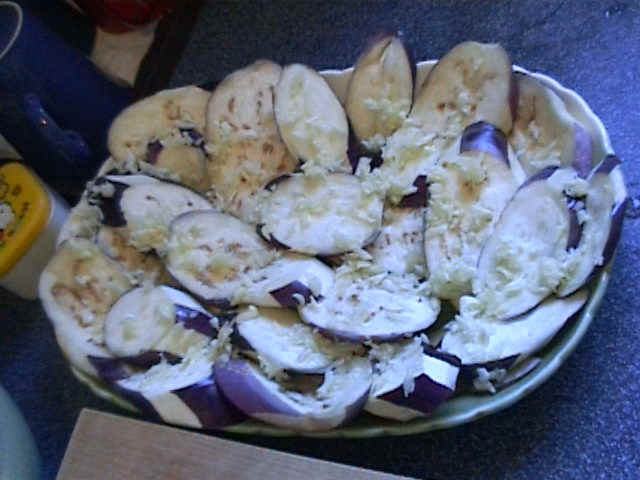 eggplant.JPG (69270 bytes)