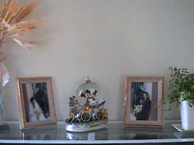 micky.JPG (52469 bytes)