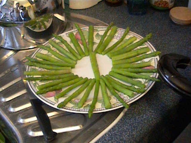 vegetable.JPG (80298 bytes)