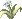 ۷Q