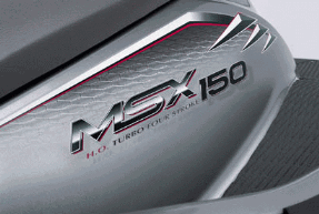 POLARIS MSX150 WATERCRAFT