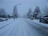 20021103_009.JPG