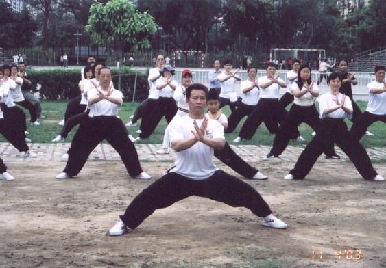 fung05.jpg (859881 bytes)