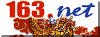 163.gif (7095 bytes)