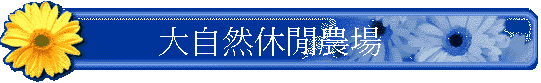 j۵M𶢹A