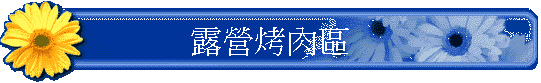 SNװ