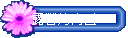 SNװ