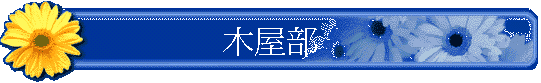 γ