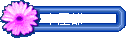 γ