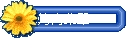 N׵