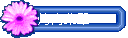 N׵