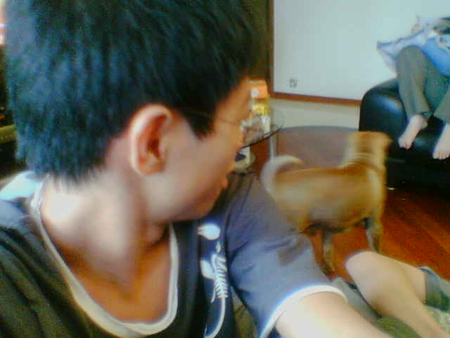 F֦P@pose[