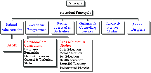 School Organization