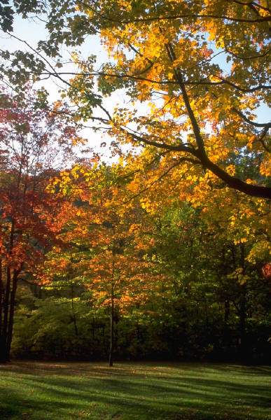 Autumn
