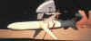AGM-88_6.JPG (9743 �Ӧ줸��)