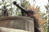 FGM-77_1.gif (117703 �Ӧ줸��)