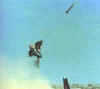 FIM-43_1.jpg (12004 �Ӧ줸��)