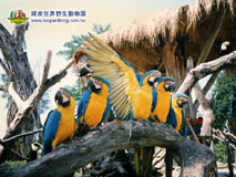  �ǥҹx�֥@�ɰʪ���