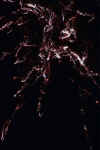 40078.jpg (79200 Ӧ줸)