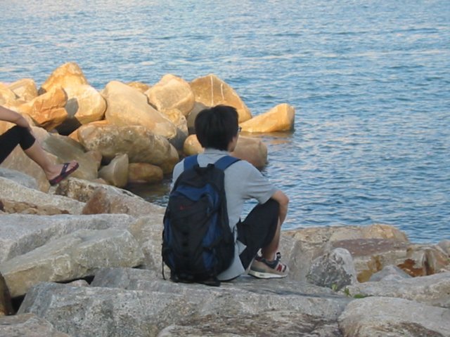 Photograph
