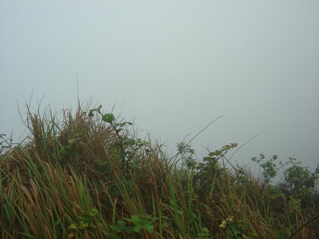 DSC00003.JPG
